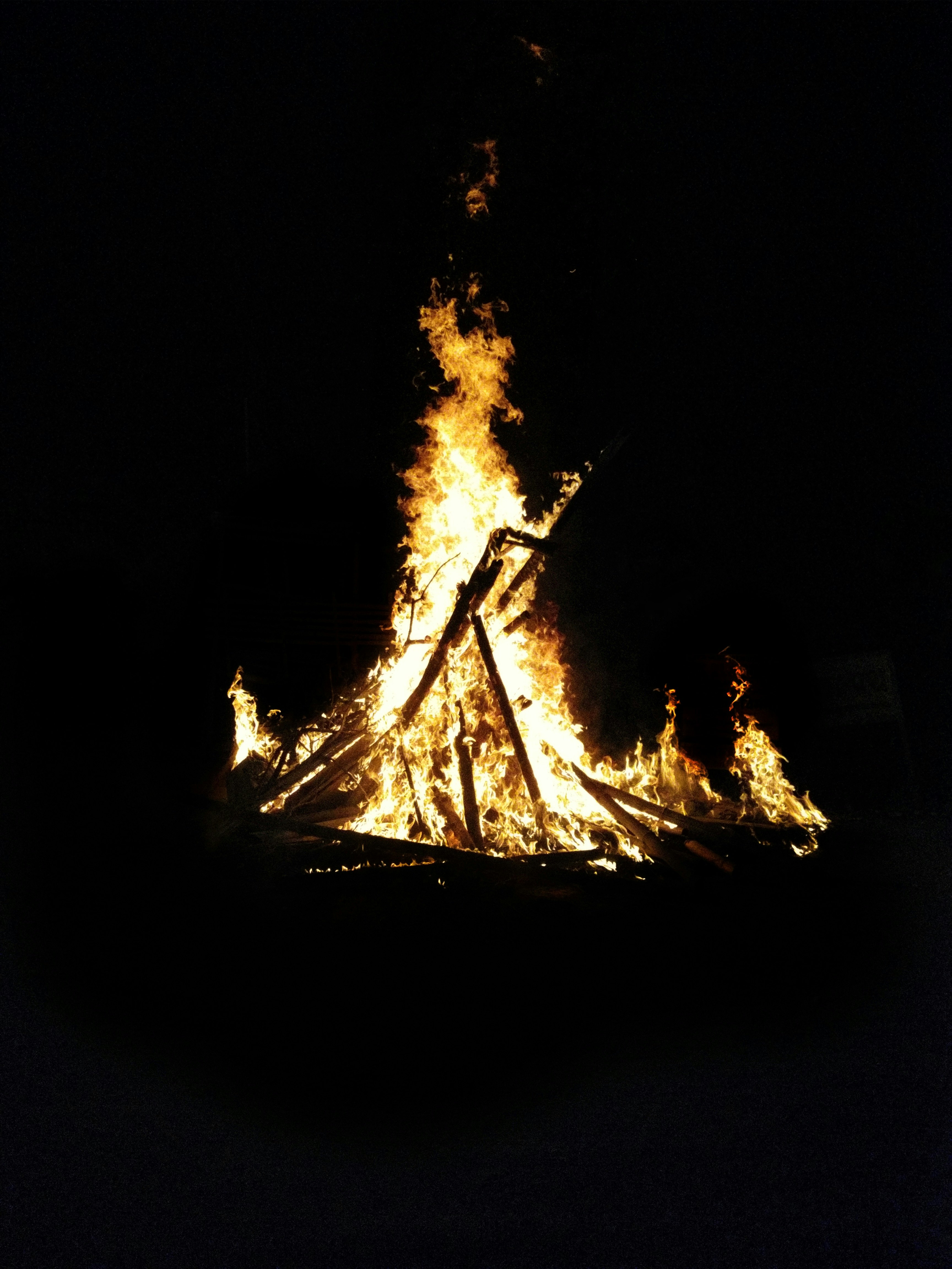 fire in the middle of the forest during night time